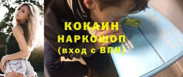 ешки Алексин