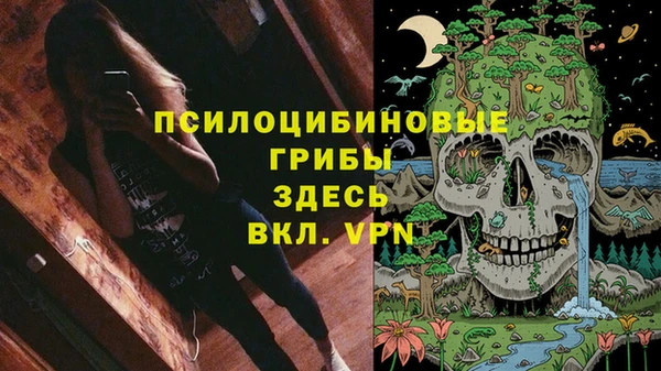COCAINE Алексеевка