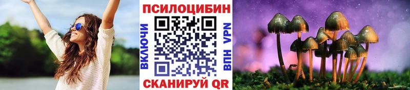 где купить   Шиханы  это наркотические препараты  Псилоцибиновые грибы ЛСД 